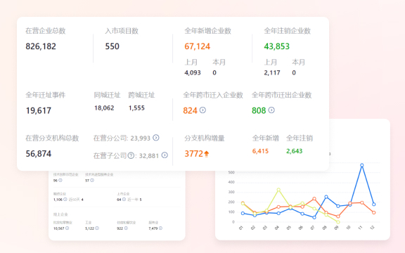 项目大数据界面示意图