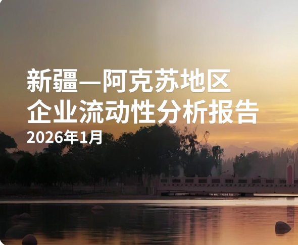 新疆阿克苏地区2026年1月企业流动性分析报告
